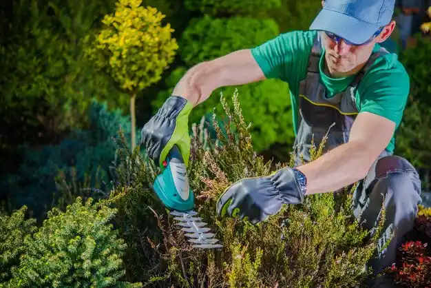 landscaping services Jena